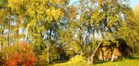 27 herbstliche idylle - unterholzen - hh